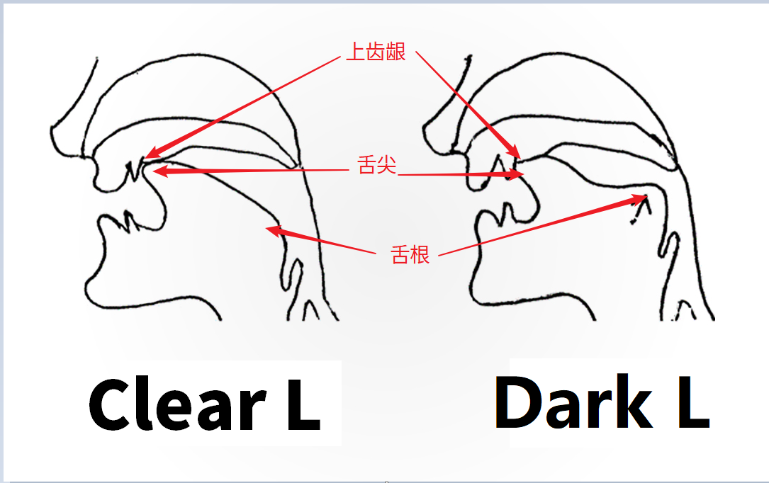 Clear L 和 Dark L